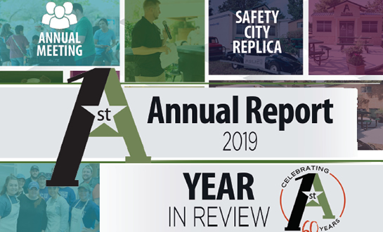 Annual Report 2019 Year in Review